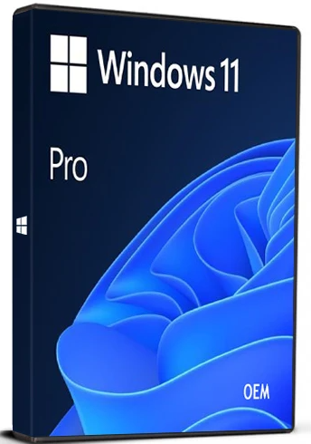 Windows 11 Pro Cd Key OEM Microsoft Global